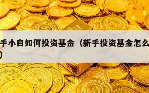新手小白如何投资基金（新手投资基金怎么赚钱）