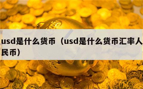 usd是什么货币（usd是什么货币汇率人民币）