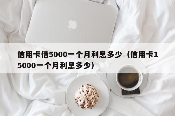 信用卡借5000一个月利息多少（信用卡15000一个月利息多少）