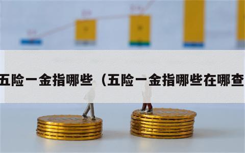 五险一金指哪些（五险一金指哪些在哪查）