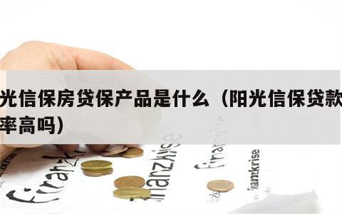阳光信保房贷保产品是什么（阳光信保贷款通过率高吗）