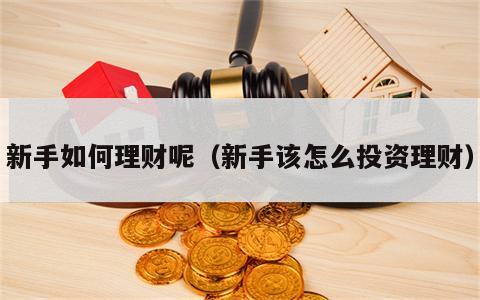 新手如何理财呢（新手该怎么投资理财）