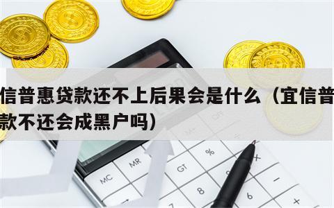 宜信普惠贷款还不上后果会是什么（宜信普惠贷款不还会成黑户吗）