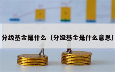 分级基金是什么（分级基金是什么意思）