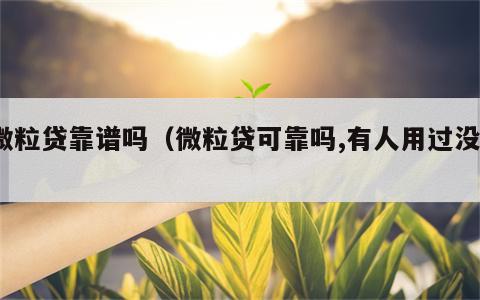 微粒贷靠谱吗（微粒贷可靠吗,有人用过没?）