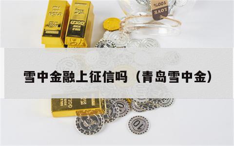 雪中金融上征信吗（青岛雪中金）