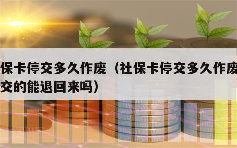 社保卡停交多久作废（社保卡停交多久作废自己交的能退回来吗）