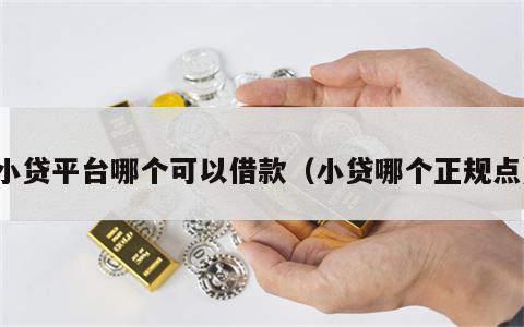 小贷平台哪个可以借款（小贷哪个正规点）