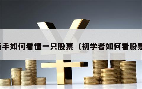新手如何看懂一只股票（初学者如何看股票）