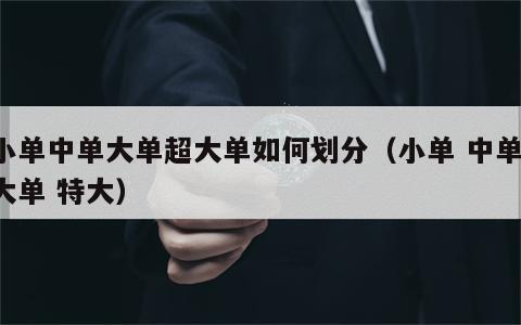 小单中单大单超大单如何划分（小单 中单 大单 特大）