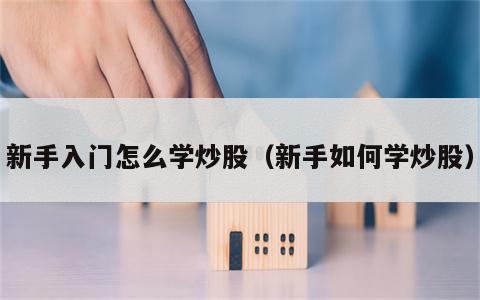 新手入门怎么学炒股（新手如何学炒股）
