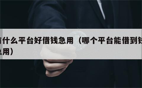 有什么平台好借钱急用（哪个平台能借到钱,急用）