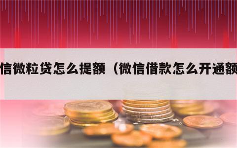 微信微粒贷怎么提额（微信借款怎么开通额度）