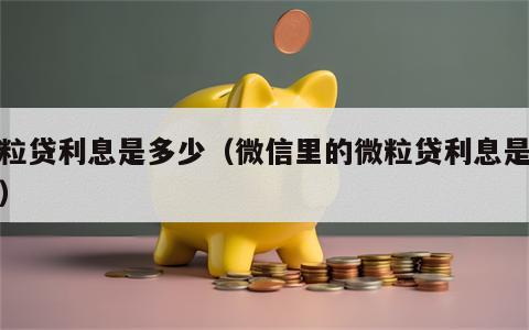 微粒贷利息是多少（微信里的微粒贷利息是多少）