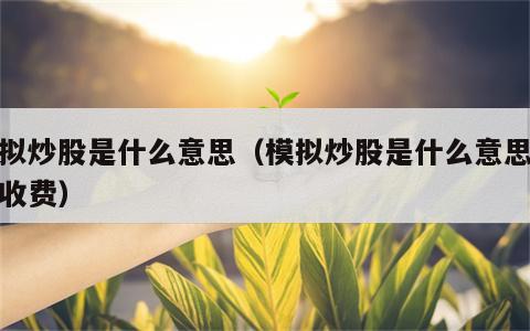 模拟炒股是什么意思（模拟炒股是什么意思怎样收费）
