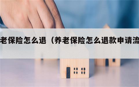 养老保险怎么退（养老保险怎么退款申请流程）
