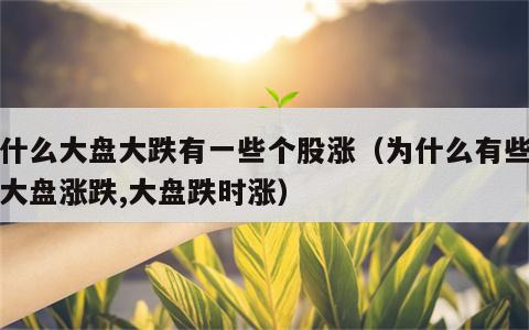 为什么大盘大跌有一些个股涨（为什么有些股票大盘涨跌,大盘跌时涨）