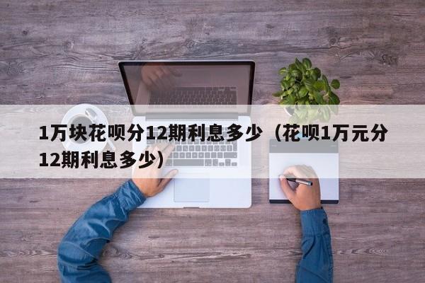 1万块花呗分12期利息多少（花呗1万元分12期利息多少）