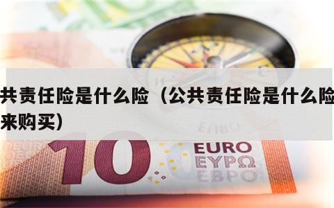 公共责任险是什么险（公共责任险是什么险由谁来购买）