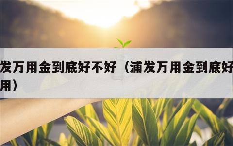 浦发万用金到底好不好（浦发万用金到底好不好用）