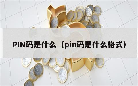 PIN码是什么（pin码是什么格式）