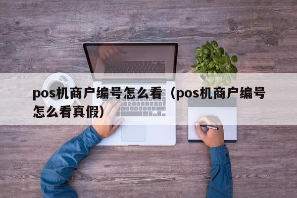 pos机商户编号怎么看（pos机商户编号怎么看真假）