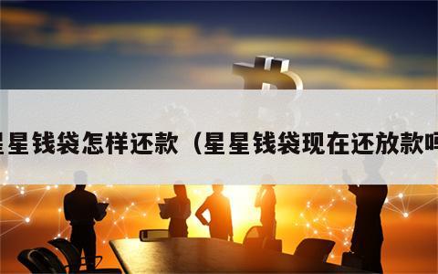 星星钱袋怎样还款（星星钱袋现在还放款吗）