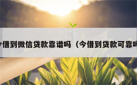 今借到微信贷款靠谱吗（今借到贷款可靠吗）