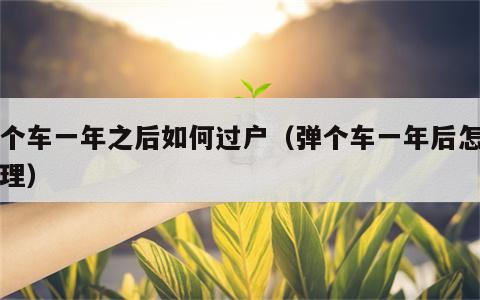 弹个车一年之后如何过户（弹个车一年后怎么处理）