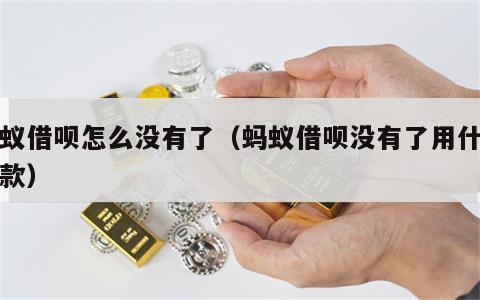 蚂蚁借呗怎么没有了（蚂蚁借呗没有了用什么借款）