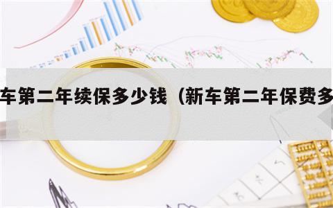新车第二年续保多少钱（新车第二年保费多少）