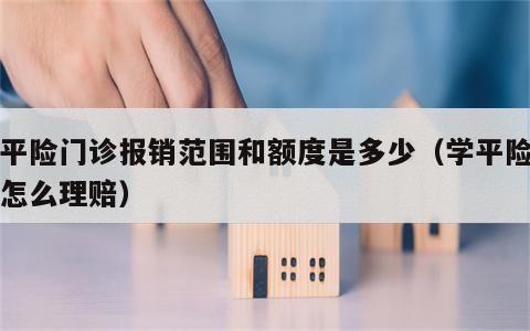 学平险门诊报销范围和额度是多少（学平险门诊怎么理赔）