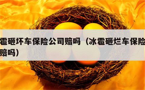 冰雹砸坏车保险公司赔吗（冰雹砸烂车保险公司赔吗）