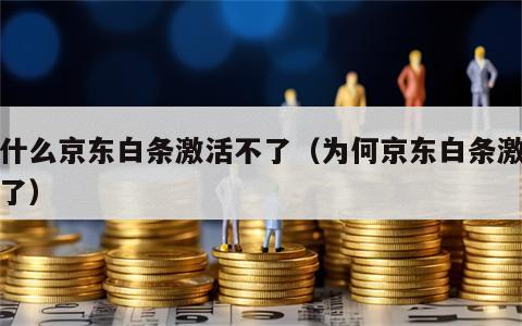为什么京东白条激活不了（为何京东白条激活不了）
