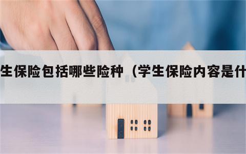 学生保险包括哪些险种（学生保险内容是什么）