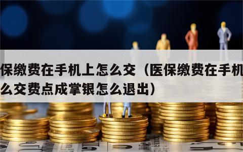 医保缴费在手机上怎么交（医保缴费在手机上怎么交费点成掌银怎么退出）
