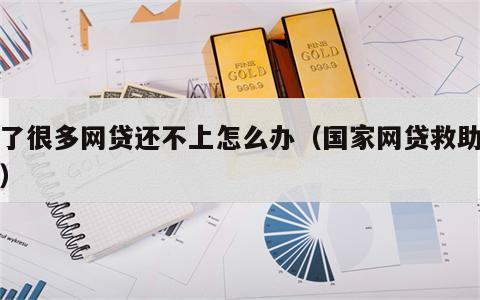 借了很多网贷还不上怎么办（国家网贷救助中心）