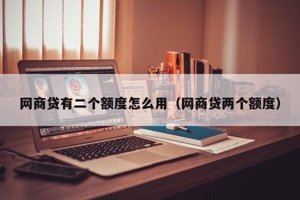 网商贷有二个额度怎么用（网商贷两个额度）