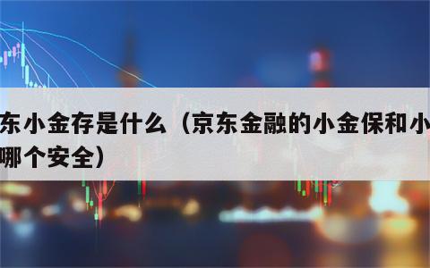 京东小金存是什么（京东金融的小金保和小金存哪个安全）