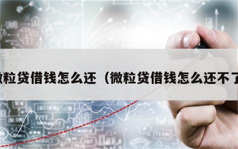 微粒贷借钱怎么还（微粒贷借钱怎么还不了）