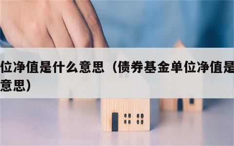 单位净值是什么意思（债券基金单位净值是什么意思）