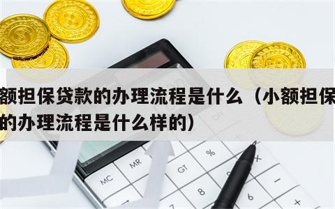 小额担保贷款的办理流程是什么（小额担保贷款的办理流程是什么样的）