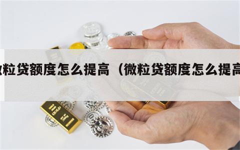 微粒贷额度怎么提高（微粒贷额度怎么提高?）