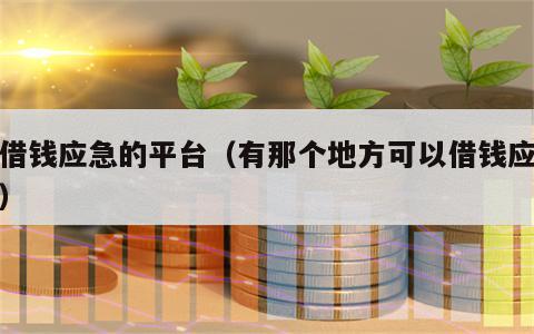 能借钱应急的平台（有那个地方可以借钱应急的）