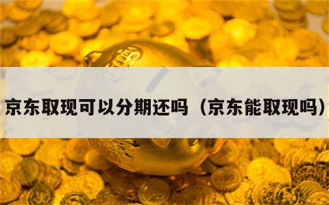 京东取现可以分期还吗（京东能取现吗）