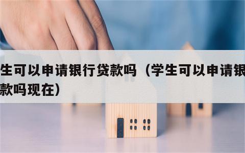 学生可以申请银行贷款吗（学生可以申请银行贷款吗现在）