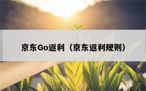 京东Go返利（京东返利规则）