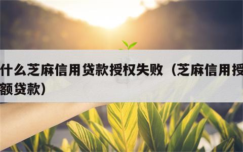 为什么芝麻信用贷款授权失败（芝麻信用授权小额贷款）
