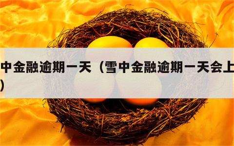 雪中金融逾期一天（雪中金融逾期一天会上门吗）