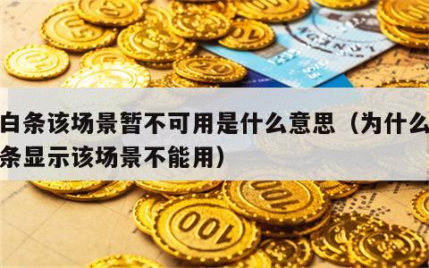 打白条该场景暂不可用是什么意思（为什么打白条显示该场景不能用）